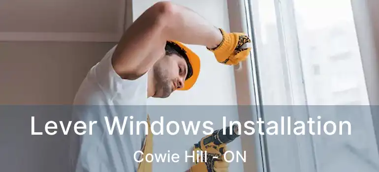  Lever Windows Installation Cowie Hill - ON