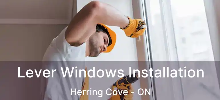  Lever Windows Installation Herring Cove - ON
