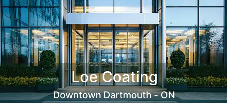  Loe Coating Downtown Dartmouth - ON