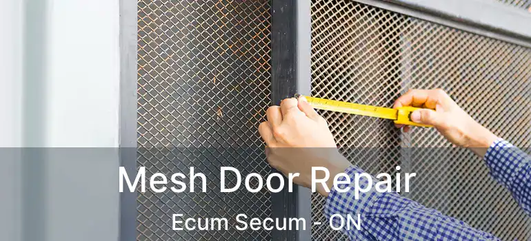 Mesh Door Repair Ecum Secum - ON