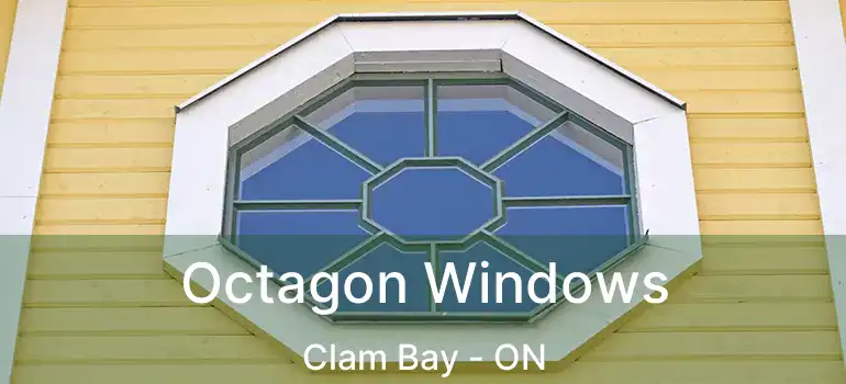  Octagon Windows Clam Bay - ON