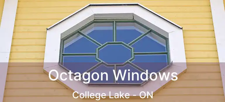  Octagon Windows College Lake - ON