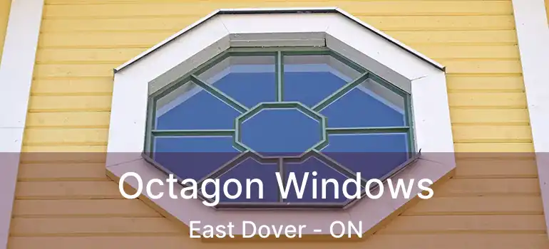  Octagon Windows East Dover - ON