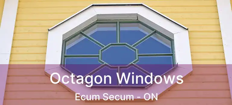  Octagon Windows Ecum Secum - ON