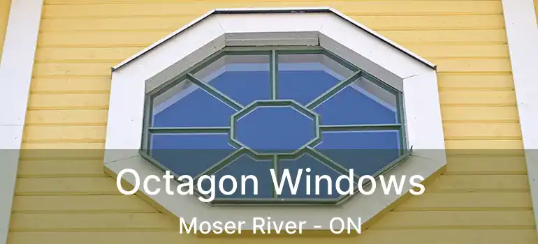  Octagon Windows Moser River - ON