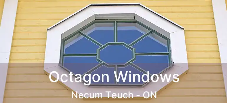  Octagon Windows Necum Teuch - ON