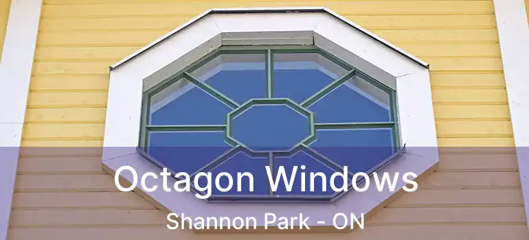  Octagon Windows Shannon Park - ON