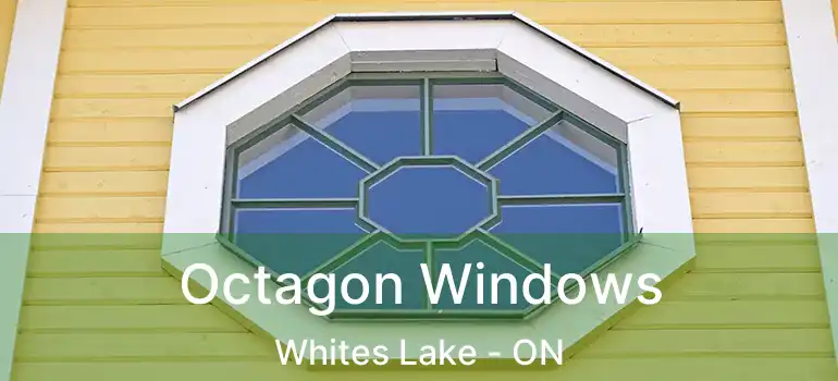  Octagon Windows Whites Lake - ON