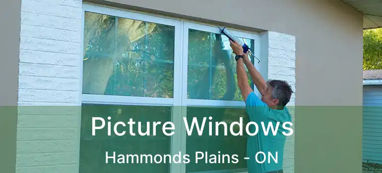  Picture Windows Hammonds Plains - ON