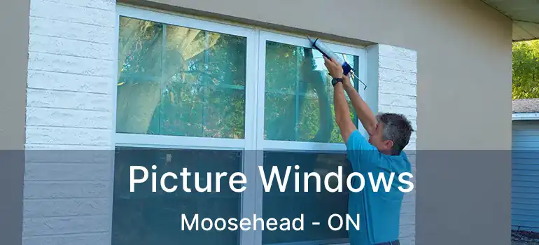  Picture Windows Moosehead - ON