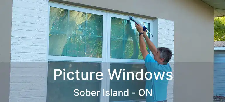  Picture Windows Sober Island - ON