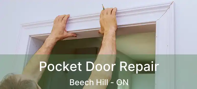  Pocket Door Repair Beech Hill - ON