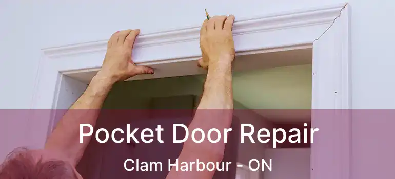  Pocket Door Repair Clam Harbour - ON