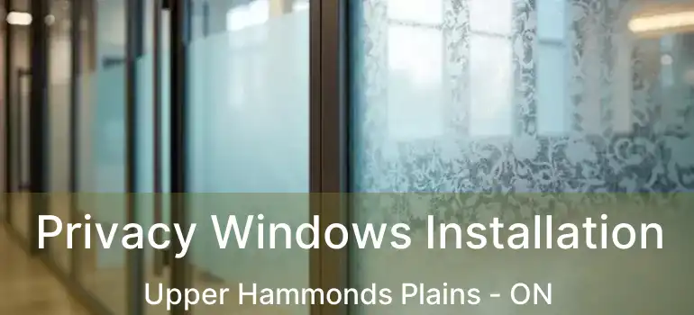  Privacy Windows Installation Upper Hammonds Plains - ON