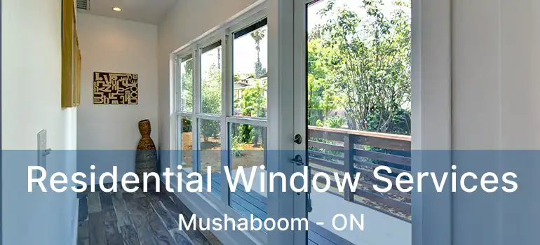  Residential Window Services Mushaboom - ON