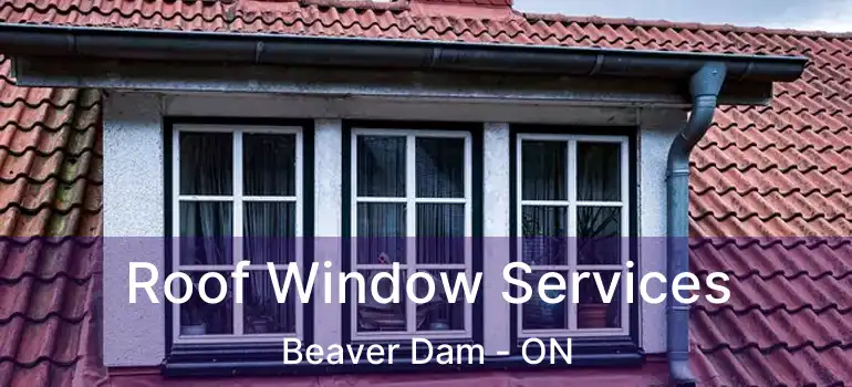  Roof Window Services Beaver Dam - ON