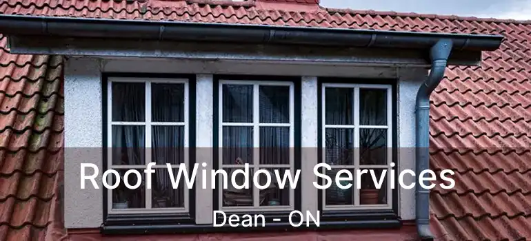 Roof Window Services Dean - ON