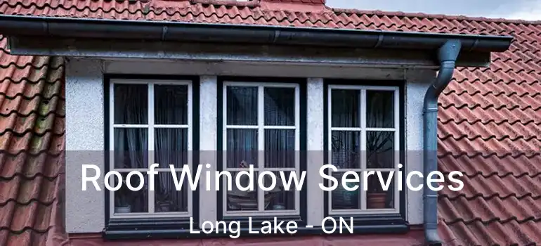  Roof Window Services Long Lake - ON