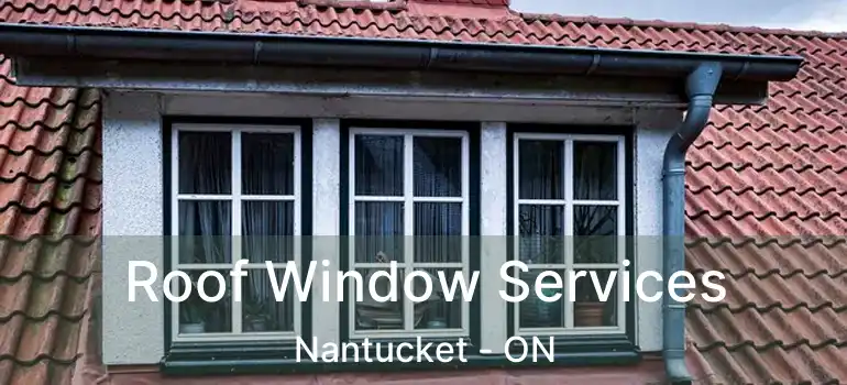  Roof Window Services Nantucket - ON