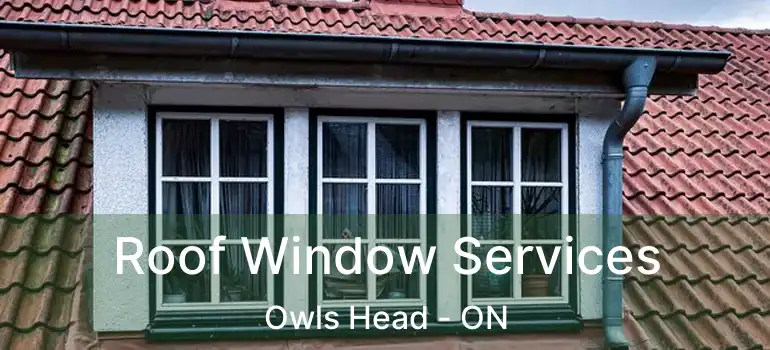  Roof Window Services Owls Head - ON