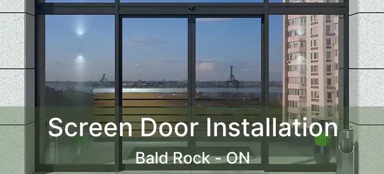  Screen Door Installation Bald Rock - ON