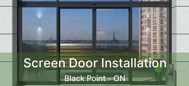 Screen Door Installation Black Point - ON