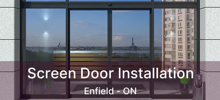  Screen Door Installation Enfield - ON