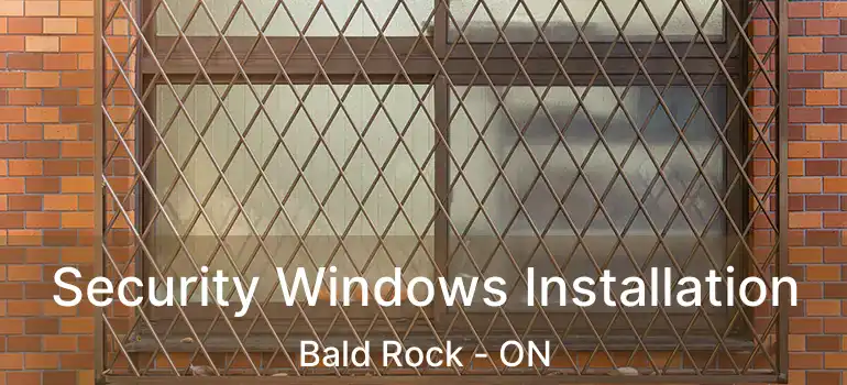  Security Windows Installation Bald Rock - ON