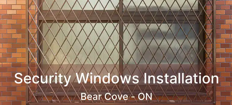  Security Windows Installation Bear Cove - ON
