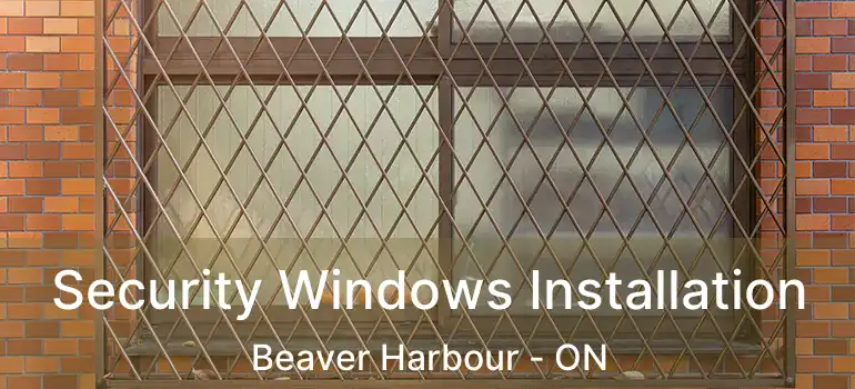  Security Windows Installation Beaver Harbour - ON