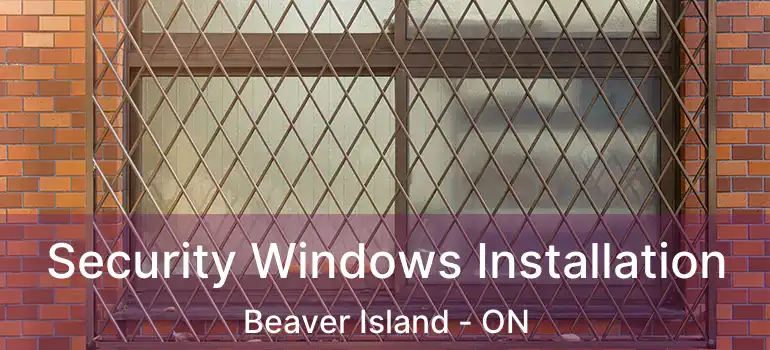  Security Windows Installation Beaver Island - ON