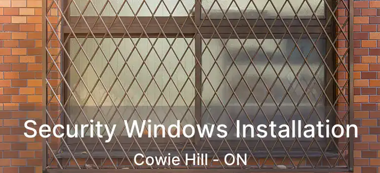  Security Windows Installation Cowie Hill - ON