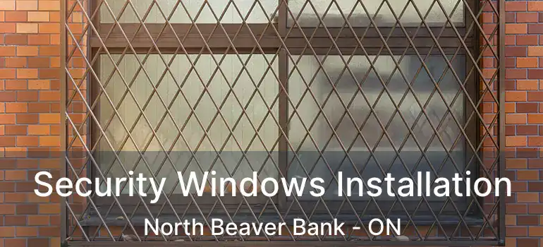  Security Windows Installation North Beaver Bank - ON