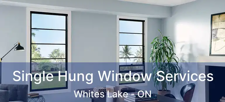  Single Hung Window Services Whites Lake - ON