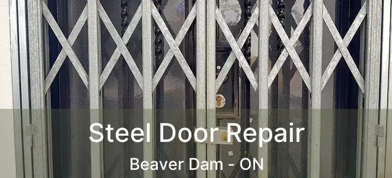  Steel Door Repair Beaver Dam - ON
