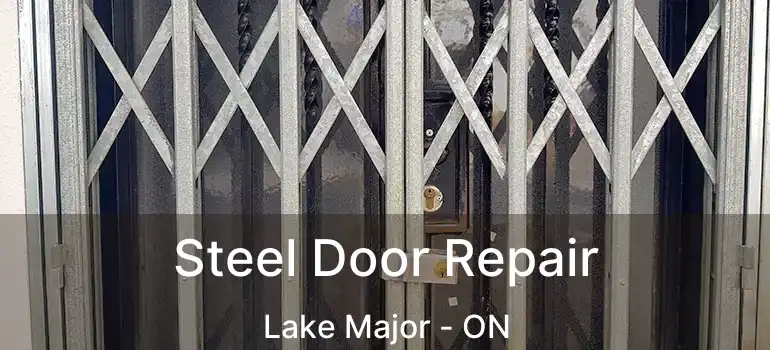  Steel Door Repair Lake Major - ON