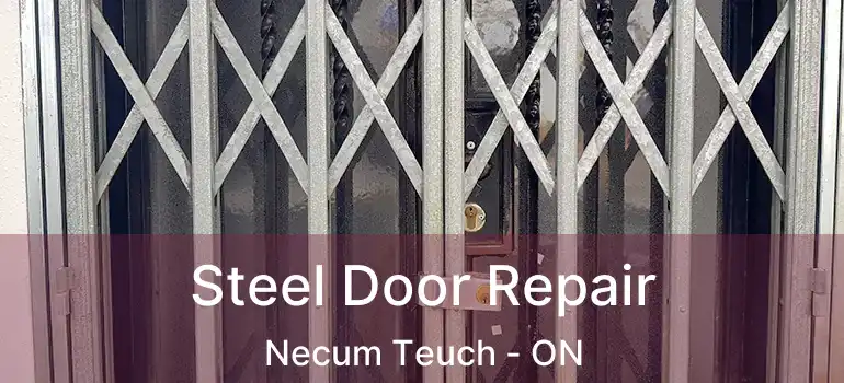  Steel Door Repair Necum Teuch - ON