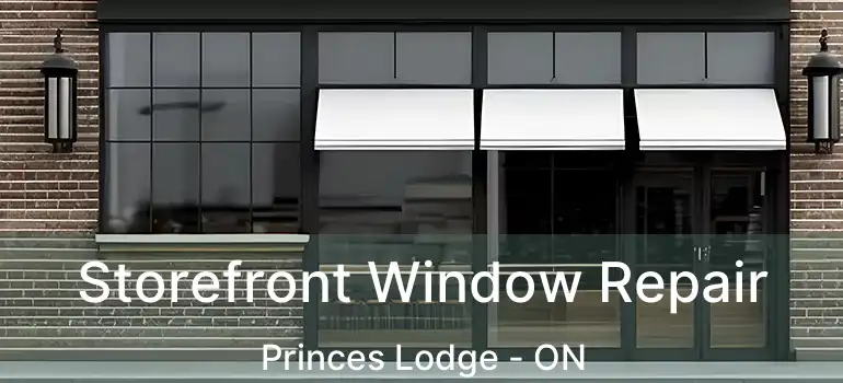  Storefront Window Repair Princes Lodge - ON