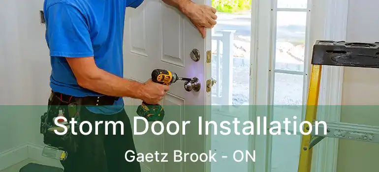  Storm Door Installation Gaetz Brook - ON