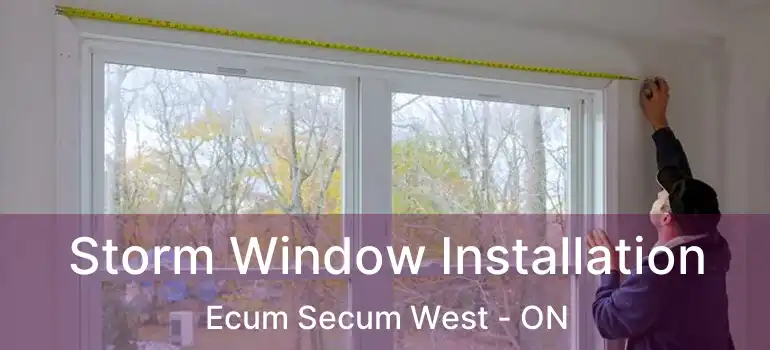  Storm Window Installation Ecum Secum West - ON