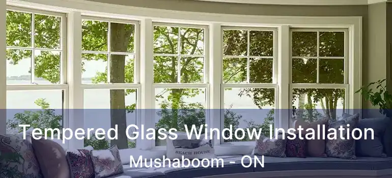  Tempered Glass Window Installation Mushaboom - ON