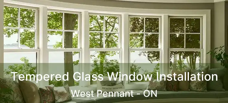  Tempered Glass Window Installation West Pennant - ON