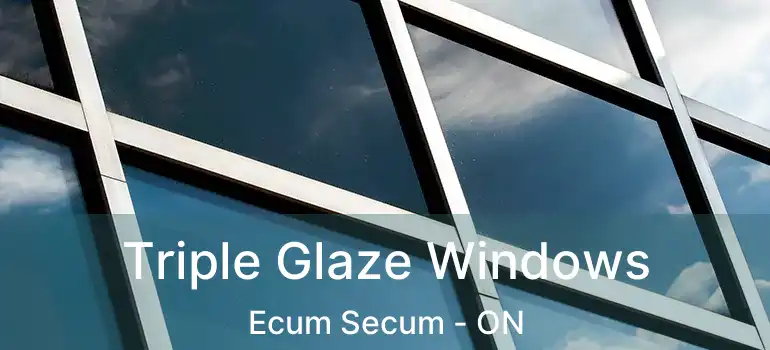  Triple Glaze Windows Ecum Secum - ON