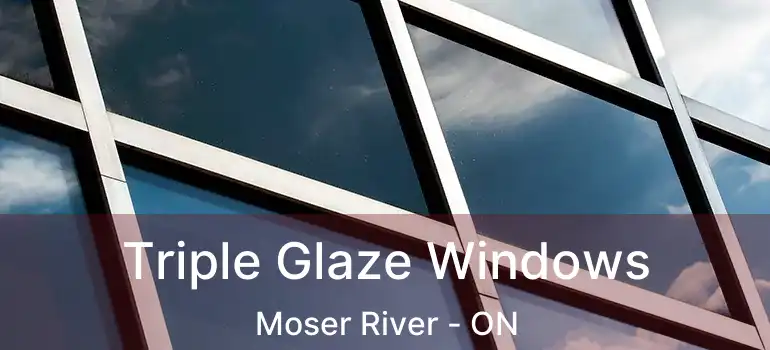  Triple Glaze Windows Moser River - ON