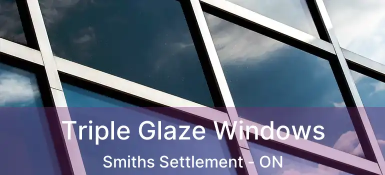  Triple Glaze Windows Smiths Settlement - ON