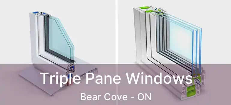  Triple Pane Windows Bear Cove - ON