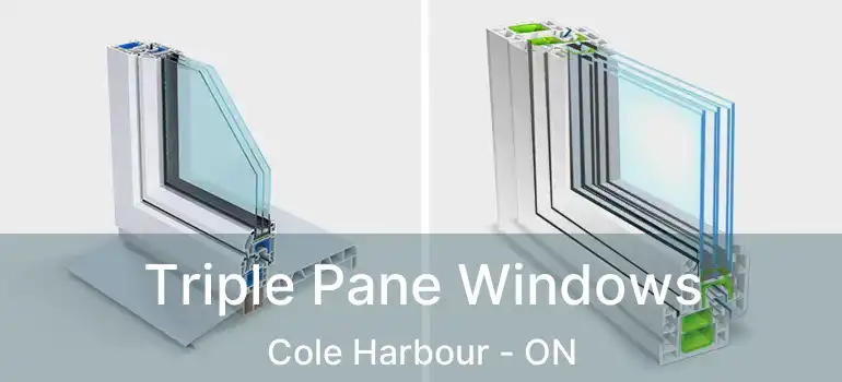  Triple Pane Windows Cole Harbour - ON
