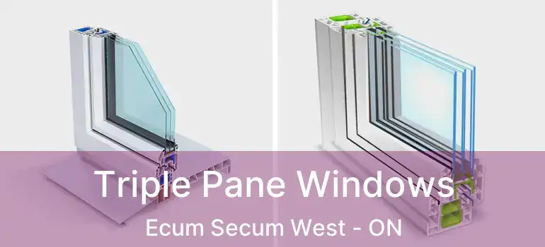  Triple Pane Windows Ecum Secum West - ON