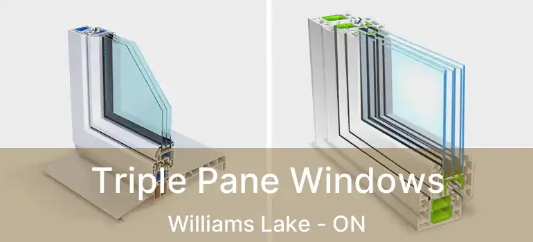  Triple Pane Windows Williams Lake - ON