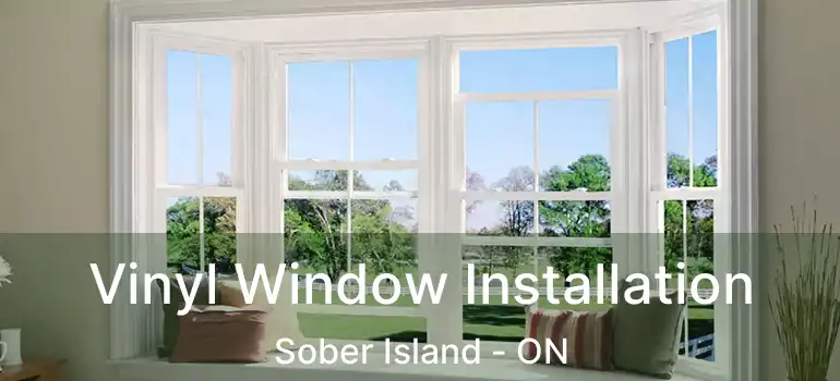  Vinyl Window Installation Sober Island - ON